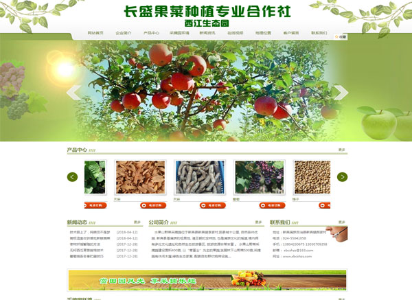 新賓滿族自治縣長盛果菜種植專業合作社